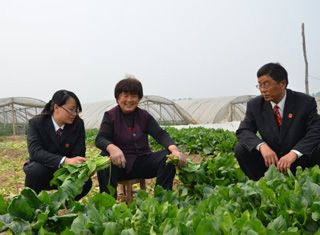 ���ϲ��۷�Ժ����(w��)�r(n��ng)�����g���^����m��