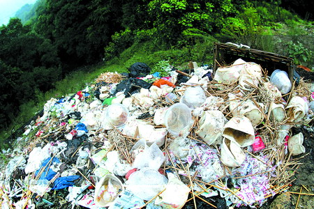 ���ڰ�ɳ�T��������Ⱦ