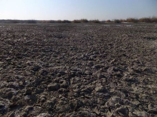 ��(n��i)�ɹ�һ�ض���f����������Ⱦ