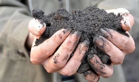 ���ϳ����ؽ�����Ⱦ��(y��n)��