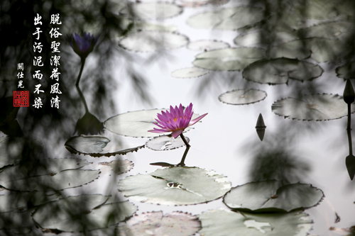 Ó��ʥ�����L��