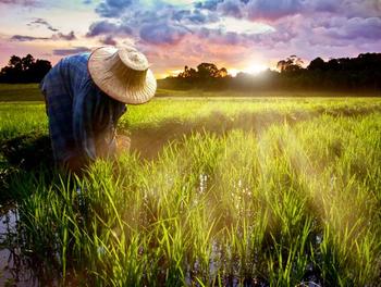 �x���r(n��ng)�����ؔ�a(ch��n)����