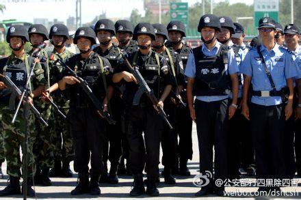 ������������ֲ�����