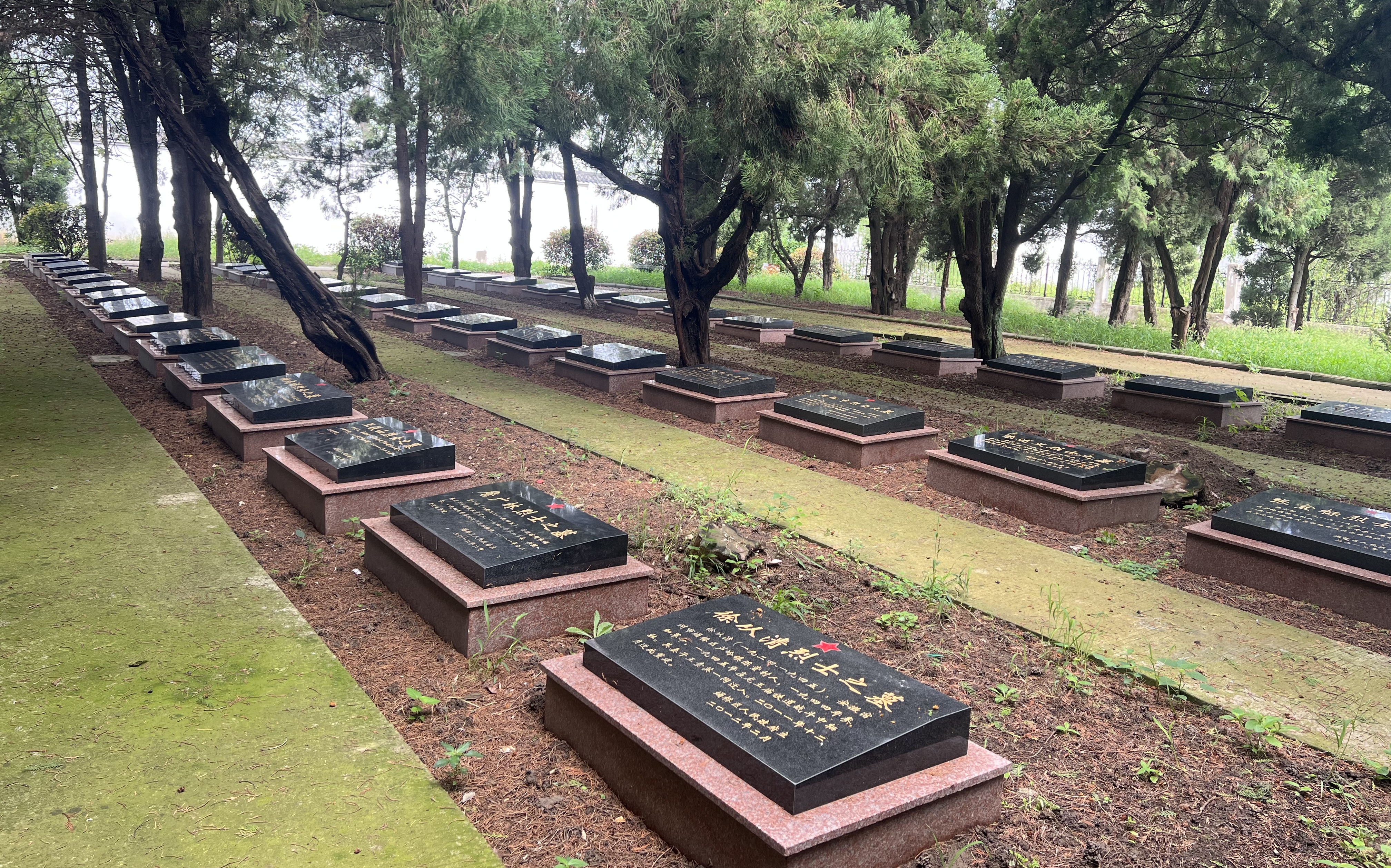 һ�Z�����������˟o�����o