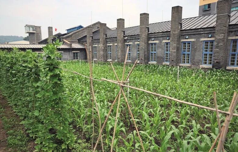 �����(zh��n)���� һ��(ch��ng)ʷ�o(w��)ǰ���ġ��`��֮��(zh��n)�������V�ձ���(zh��n)���؄e��(b��o)����