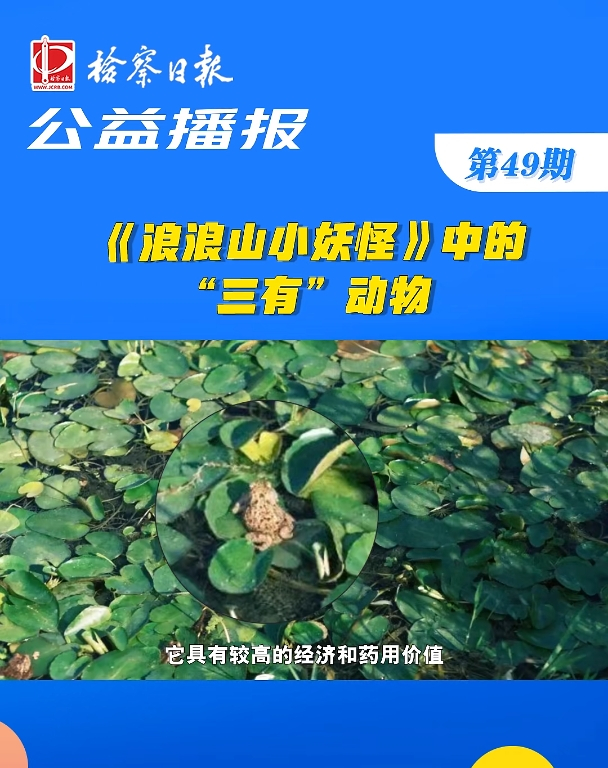 ���沥��(b��o)��������ɽС���֡��еġ����С�����